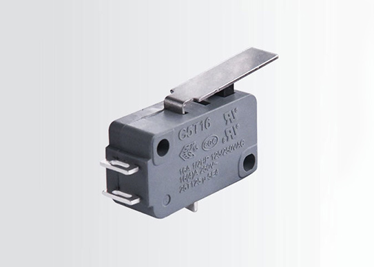 lever arm limit switch